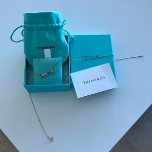 Tiffany & Co. Paloma Picasso Amour Sterling Silver Necklace